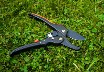 A garden pruner with a ratchet mechanism.Pruning shears for cutting branches in the garden.