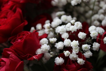 Beautiful arrangement of red roses and white baby's breath flowers for a special occasion in a floral display