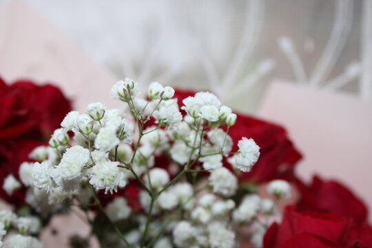 Beautiful bouquet of red roses and white baby’s breath on a soft background, perfect for special occasions or heartfelt gifts