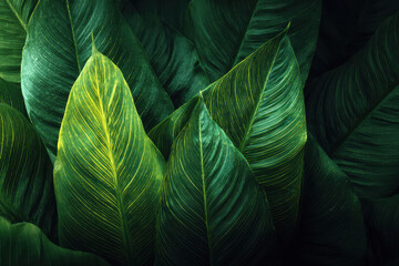 Lush green tropical foliage, serene close up with vibrant veins