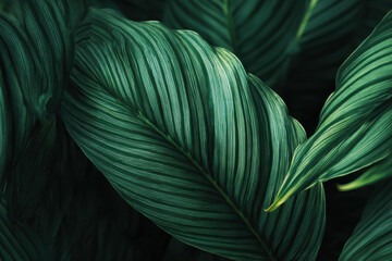 Calm green leaf texture, lush foliage, serene natural detail