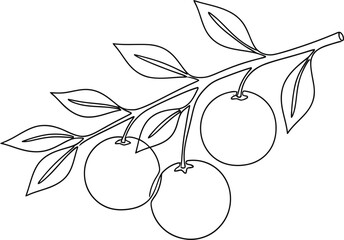 
Pomegranate. Modern single line art drawing. Happy Shana tova continuous line draw design set illustration 