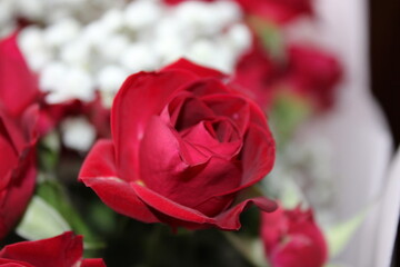 Red rose surrounded by delicate white flowers in a floral arrangement for a special occasion