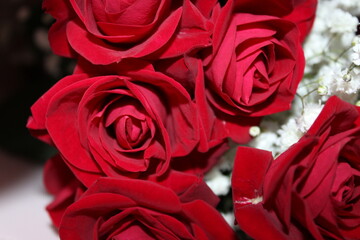 Vibrant red roses arranged beautifully among delicate white flowers for a heartfelt occasion