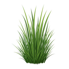 Green grass clump isolated on transparent background