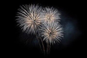 Fireworks Display Against a Black Night Sky Showcasing Bright White and Orange Explosions