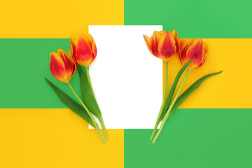 Red yellow tulip flower arrangement with white blank letter copy space for message or greeting, birthday, Easter, Mothers Day. On green yellow geometric background.