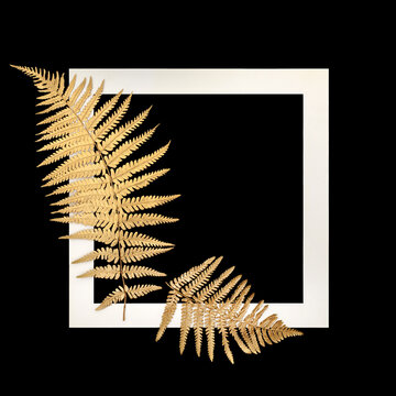 Gold fern leaf fronds isolated on black background border with white frame. Nature design symbol for decorative purposes, logo, greeting card.