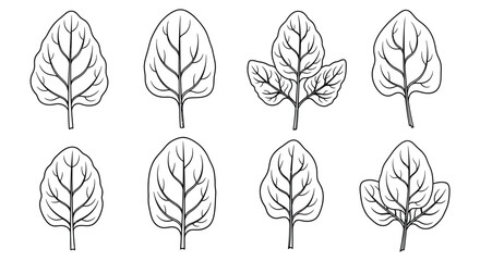 Set of eight hand drawn stylized spinach leaves in black and white