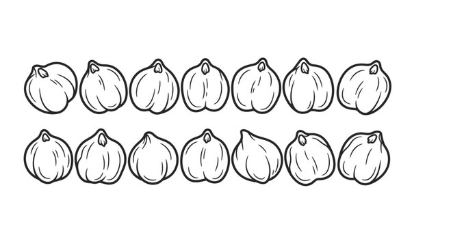 Hand drawn illustration of chickpeas in a row on white background