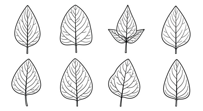 Collection of eight stylized hand drawn leaf illustrations in black and white