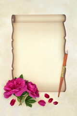 Rosa rugosa red roses symbol of love for letter on faded paper scroll on parchment with vintage nib pen. Design for wedding invitation, Valentines Day message.