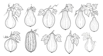 Collection of hand drawn line art illustrations of eggplants