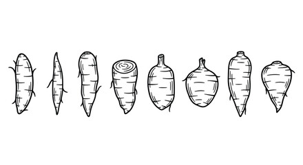 Hand drawn illustration of various root vegetables on white background