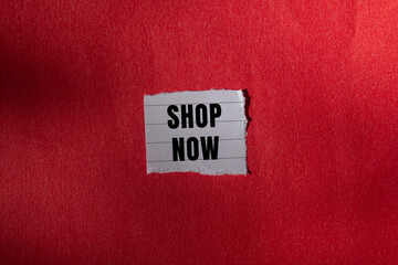 Shop Now message written on ripped torn paper background. Conceptual Shop Now symbol. Copy space.