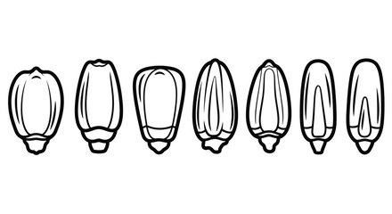 Collection of stylized outline drawings of different types of seeds