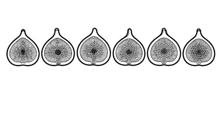 Six sliced figs in a row black and white illustration