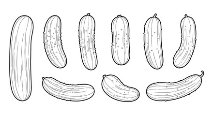 Collection of hand drawn cucumbers in black and white sketch style