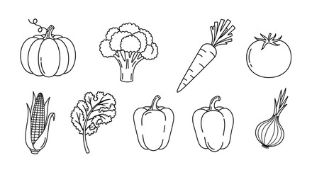 Hand drawn sketch of various fresh vegetables on a white background