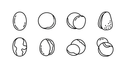 Collection of hand drawn illustrations of various nuts and seeds