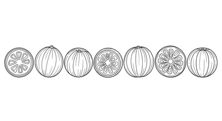 Line art illustration of sliced kiwi fruit in a row