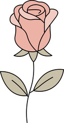 rose vector outline and shape. Valentine's day.