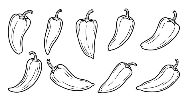 Hand drawn sketch collection of various chili peppers on white background