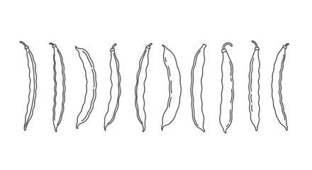 Abstract pattern of vertical dashed lines and curves on white background