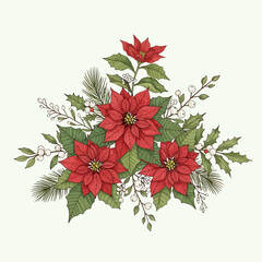 Vintage botanical illustration of a Christmas poinsettia bouquet with holly and pine branches