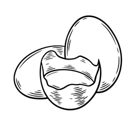 Hand drawn chicken eggs, monochrome engraving, line art style vector illustration isolated on white background	