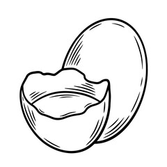 Hand drawn chicken eggs, monochrome engraving, line art style vector illustration isolated on white background	