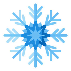 Fototapeta premium snowflake on white background