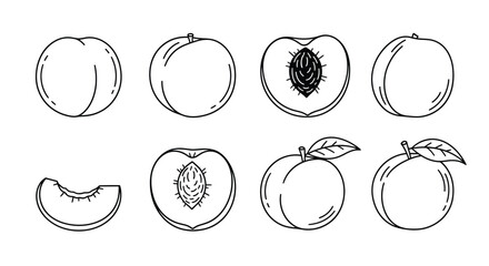 Hand drawn sketch illustrations of peaches and plums in various forms