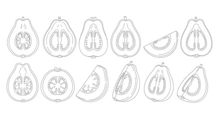 Collection of hand drawn papaya fruit illustrations in various cuts and angles