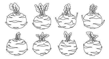 Collection of hand drawn black and white illustrations of root vegetables