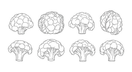Hand drawn line art illustrations of artichokes and broccoli florets