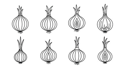 Collection of hand drawn onion halves and whole onions in sketch style