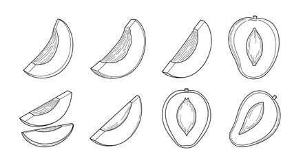 Hand drawn black and white slices of papaya fruit illustration