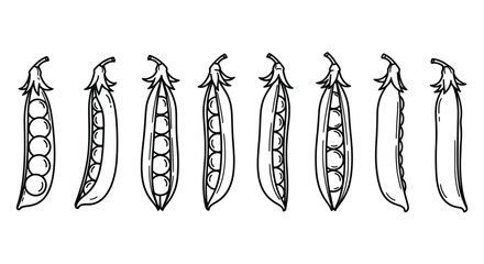 Hand drawn illustration of fresh pea pods with visible peas inside