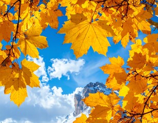 Sunny view of yellow autumn leaves framing a mountain peak against blue sky