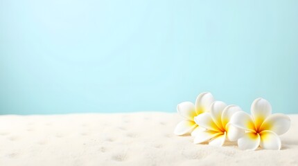 Hawaii beach with smooth white sand and three white tropical flowers arranged aesthetically