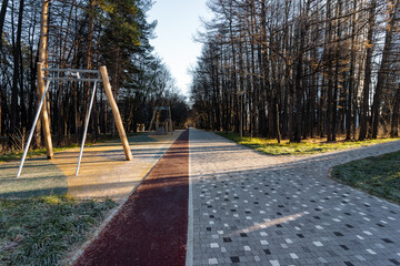 leafless trees shadow empty walking trails, chilly winter sunlight creates long shadows on deserted corridors