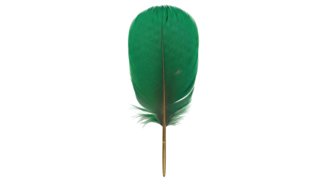 Isolated vibrant green feather, detail plumage, fine fibers, shaft and barbs, avian motif
