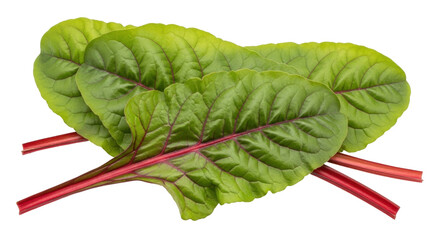Isolated chard leaves on a neutral background, a vibrant and fresh ingredient for cooking