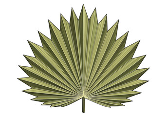 Palm leaf silhouette