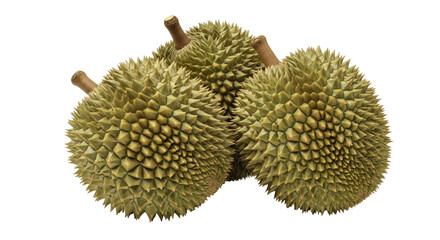 Isolated Spiky Green Durian Fruits Delicious Exotic Tropical Produce Harvest Ready to Eat