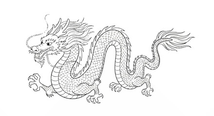 Elegant black and white Chinese dragon graphic drawing, featuring graceful smooth linework and a powerful traditional mythological form isolated on a pure white backdrop.