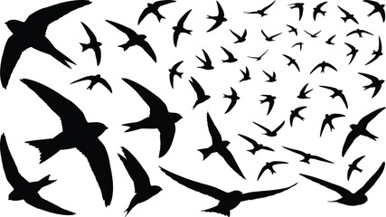 A large, dynamic flock of common swift birds in varied silhouettes, illustrating bird migration, nature, freedom, aerial movement, and summer wildlife in the sky.