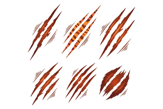 Set of six realistic scratch marks with distressed textures and abstract claw gouges on a white background, representing animal aggression