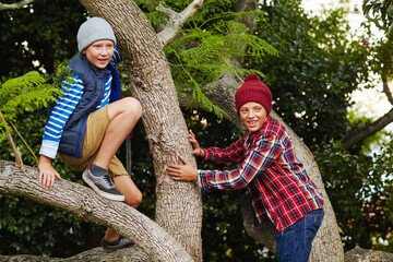 Friends, children and playing in tree outdoor for adventure, holiday activity and sensory exploration. Happy boys, kids and climbing branches in nature for tactile stimulation, development or bonding